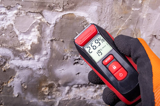 Office Mold Removal Services in Lake Of The Woods, AZ